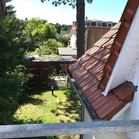 Seeadler I Dierhagen